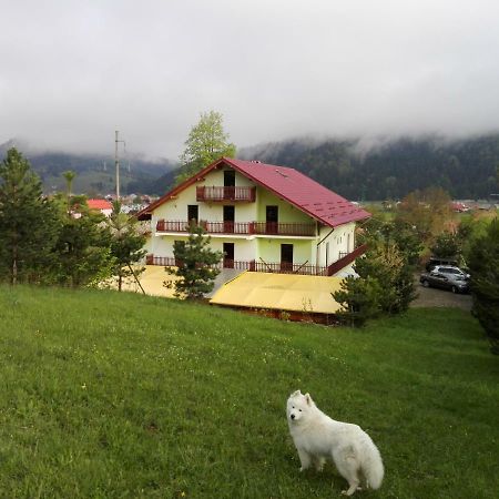 Frasin Grandemi Belvedere Bucovina מראה חיצוני תמונה
