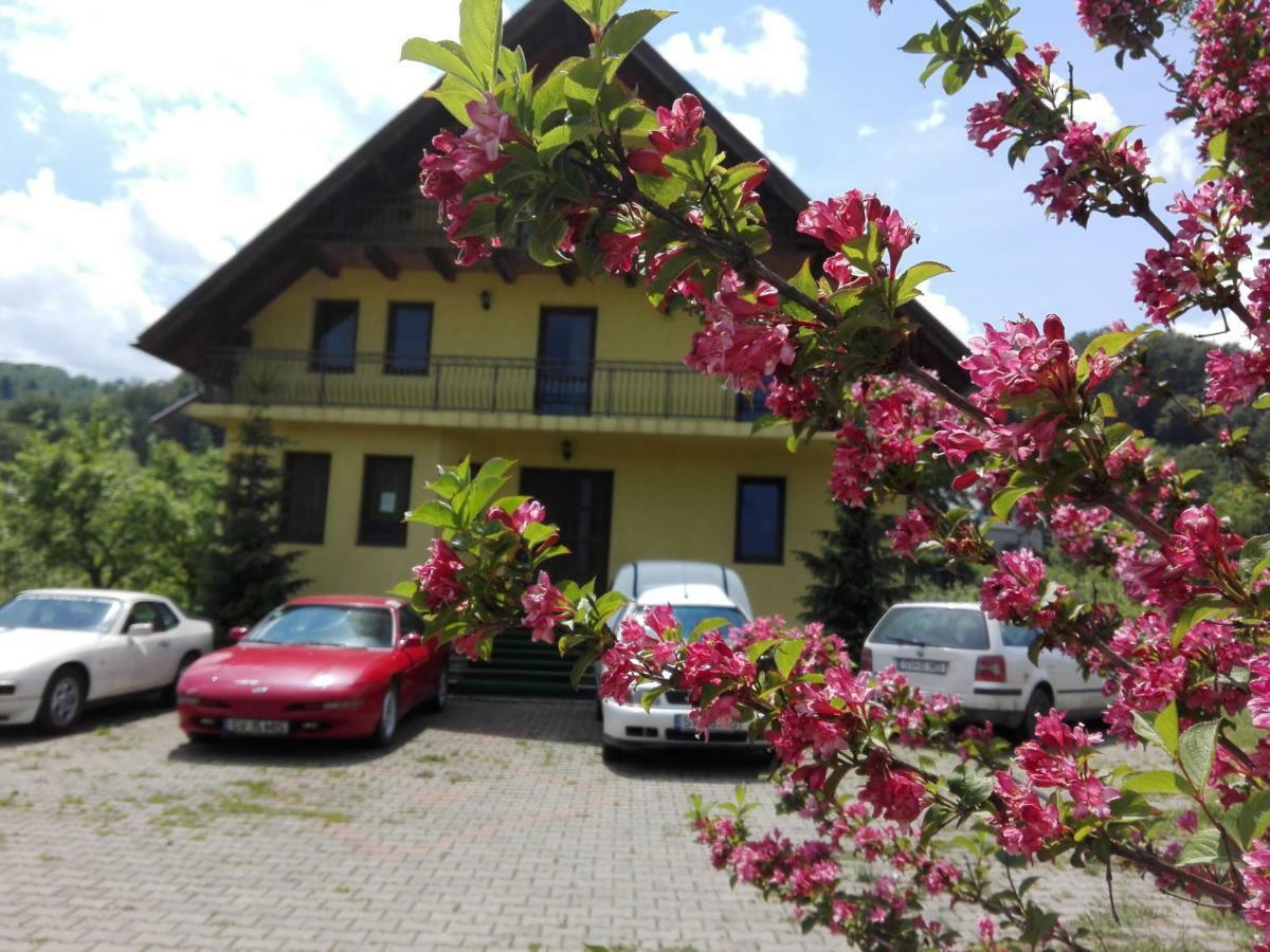 Frasin Grandemi Belvedere Bucovina מראה חיצוני תמונה